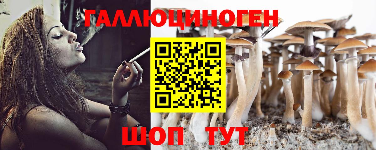 Стерлитамак  магазин продажи   Вход с VPN  Галлюциногенные грибы GOLDEN TEACHER 