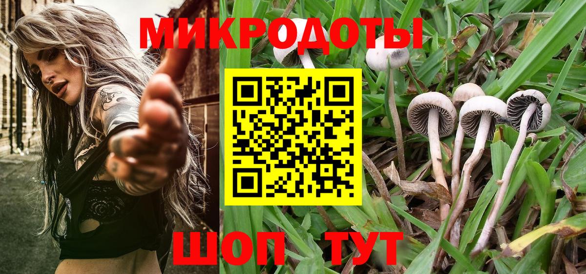 Псилоцибиновые грибы Psilocybine cubensis Стерлитамак