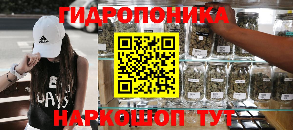 Шишки марихуана конопля Стерлитамак